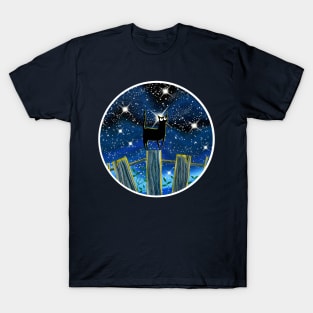 Stargazing T-Shirt